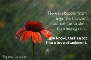 space_in_relationships_flower
